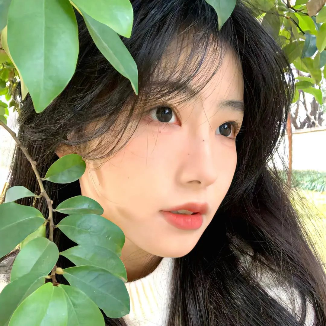 哭泣的草原